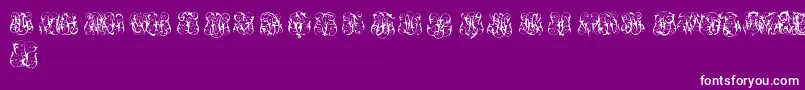 Police HardToReadMonogramsTwo – polices blanches sur fond violet