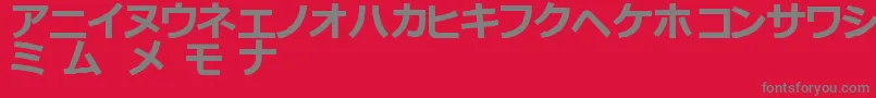 KatakanaTfb Font – Gray Fonts on Red Background