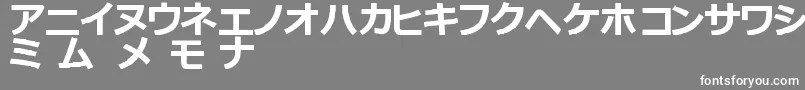 フォントKatakanaTfb – 灰色の背景に白い文字