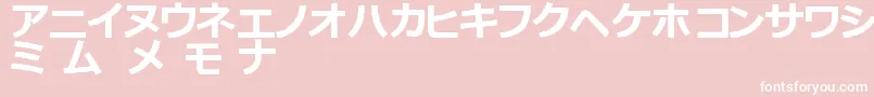 KatakanaTfb Font – White Fonts on Pink Background