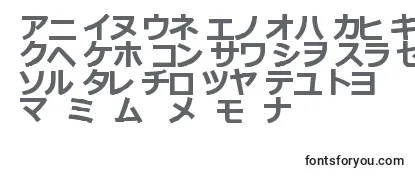 KatakanaTfb Font