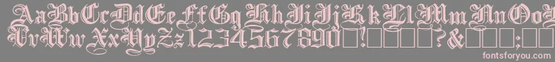 IncisedblackwideNormal Font – Pink Fonts on Gray Background