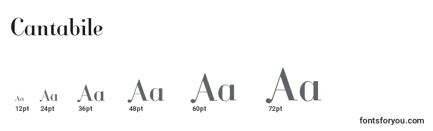 Cantabile Font Sizes