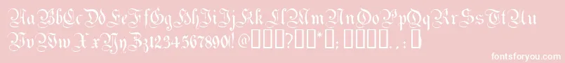 MagdeburgTM-Schriftart – Weiße Schriften auf rosa Hintergrund