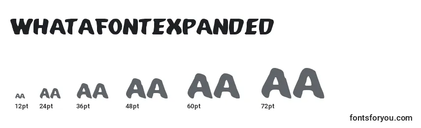 WhatafontExpanded Font Sizes