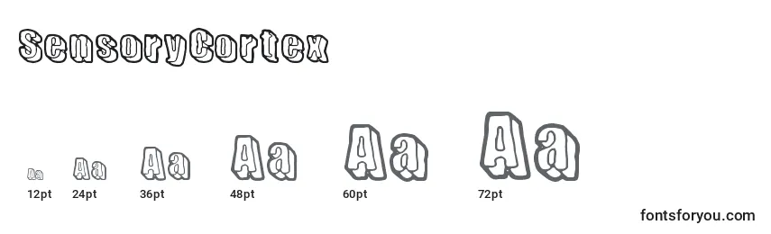 SensoryCortex Font Sizes