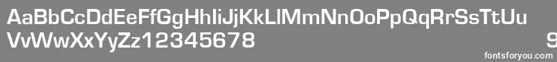 EurostileBold Font – White Fonts on Gray Background