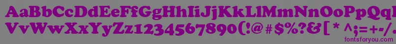 CooperRegular Font – Purple Fonts on Gray Background