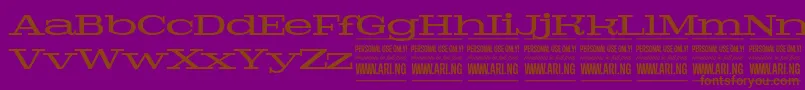 PigeonmediumPersonal Font – Brown Fonts on Purple Background
