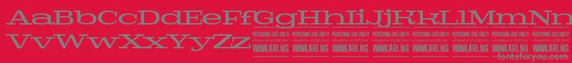 PigeonmediumPersonal-Schriftart – Graue Schriften auf rotem Hintergrund