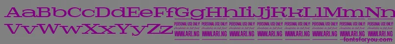 PigeonmediumPersonal Font – Purple Fonts on Gray Background