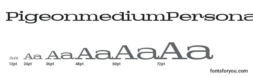 Размеры шрифта PigeonmediumPersonal