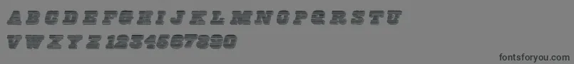 Freeline Font – Black Fonts on Gray Background