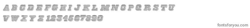 Freeline Font – Gray Fonts on White Background