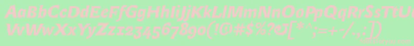 LexongothicBolditalic Font – Pink Fonts on Green Background