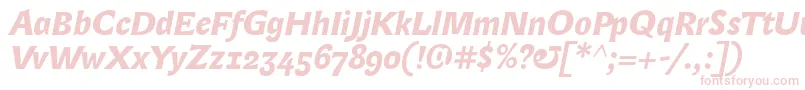 LexongothicBolditalic Font – Pink Fonts on White Background