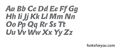 LexongothicBolditalic Font