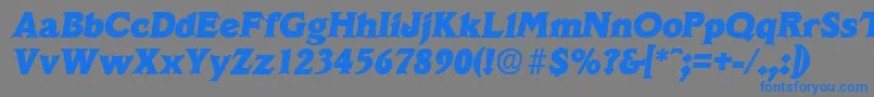 VeracruzExtraboldita Font – Blue Fonts on Gray Background