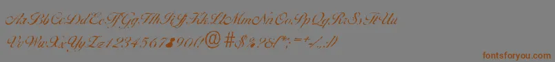 Czcionka BallantinesantiqueLightRegular – brązowe czcionki na szarym tle