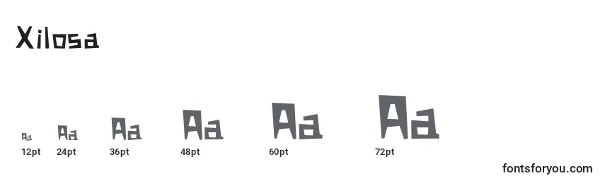 Размеры шрифта Xilosa