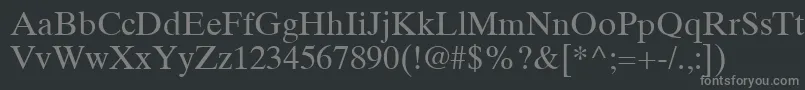 フォントTimesTenCeRoman – 黒い背景に灰色の文字