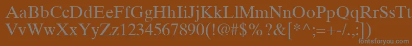 TimesTenCeRoman-fontti – harmaat kirjasimet ruskealla taustalla