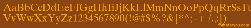 TimesTenCeRoman Font – Orange Fonts on Brown Background