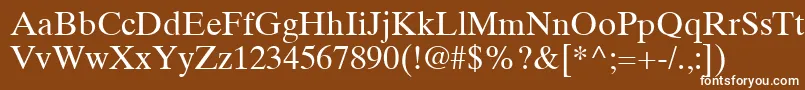 TimesTenCeRoman Font – White Fonts on Brown Background