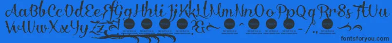 DemoDelinquenteAlti Font – Black Fonts on Blue Background