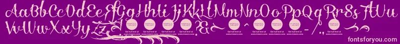 DemoDelinquenteAlti Font – Pink Fonts on Purple Background