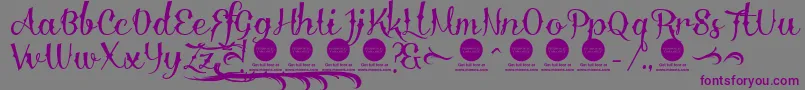 DemoDelinquenteAlti Font – Purple Fonts on Gray Background