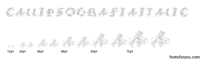 Размеры шрифта CallipsografiaItalic
