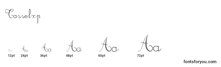 Tasselxp Font Sizes