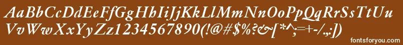 GaramondMediumItalic Font – White Fonts on Brown Background