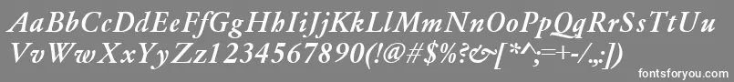 GaramondMediumItalic Font – White Fonts on Gray Background