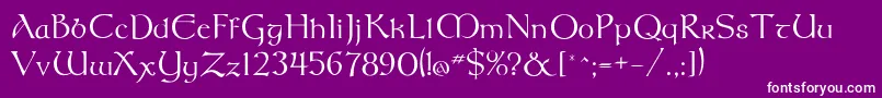 Meathflf Font – White Fonts on Purple Background