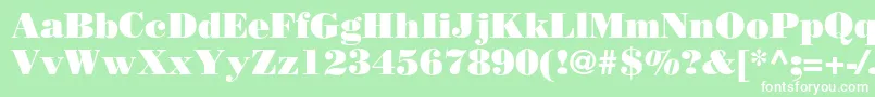 BodoniPoster Font – White Fonts on Green Background