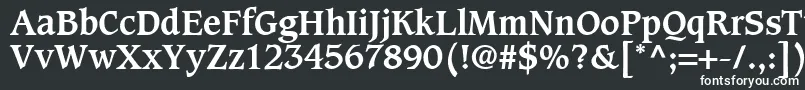 Шрифт GrammateusSsiBold – белые шрифты на чёрном фоне