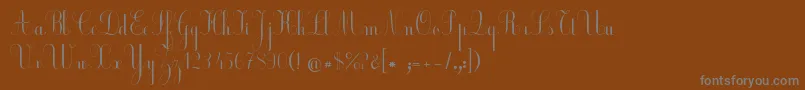 フォントEcolierCourt – 茶色の背景に灰色の文字