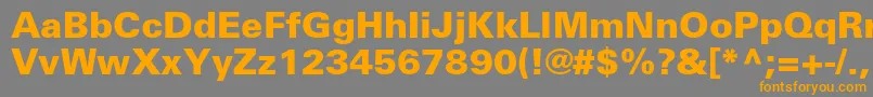 UniversltstdBlack Font – Orange Fonts on Gray Background