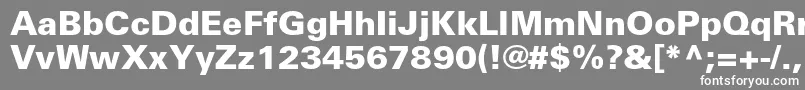 UniversltstdBlack Font – White Fonts on Gray Background