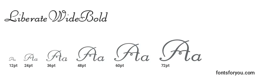 LiberateWideBold Font Sizes