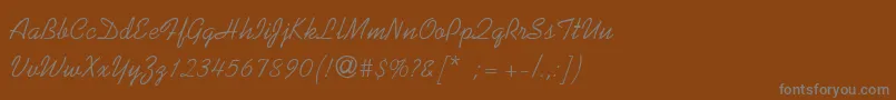 SunnysidThin Font – Gray Fonts on Brown Background