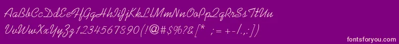 SunnysidThin Font – Pink Fonts on Purple Background