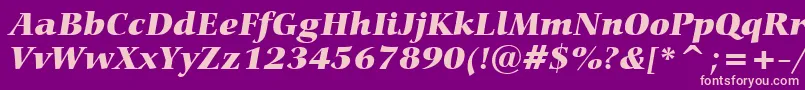 CarminaBlackItalicBt Font – Pink Fonts on Purple Background