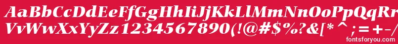 フォントCarminaBlackItalicBt – 赤い背景に白い文字