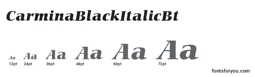Размеры шрифта CarminaBlackItalicBt