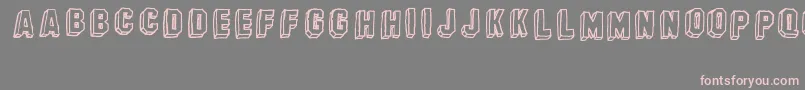 BanhartVer07Erc2008 Font – Pink Fonts on Gray Background
