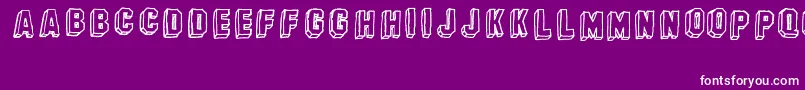 BanhartVer07Erc2008 Font – White Fonts on Purple Background