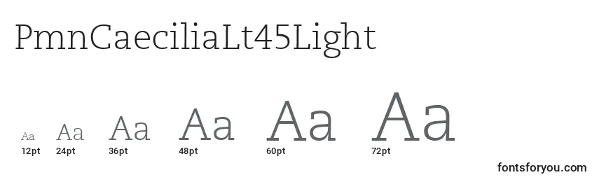 PmnCaeciliaLt45Light Font Sizes